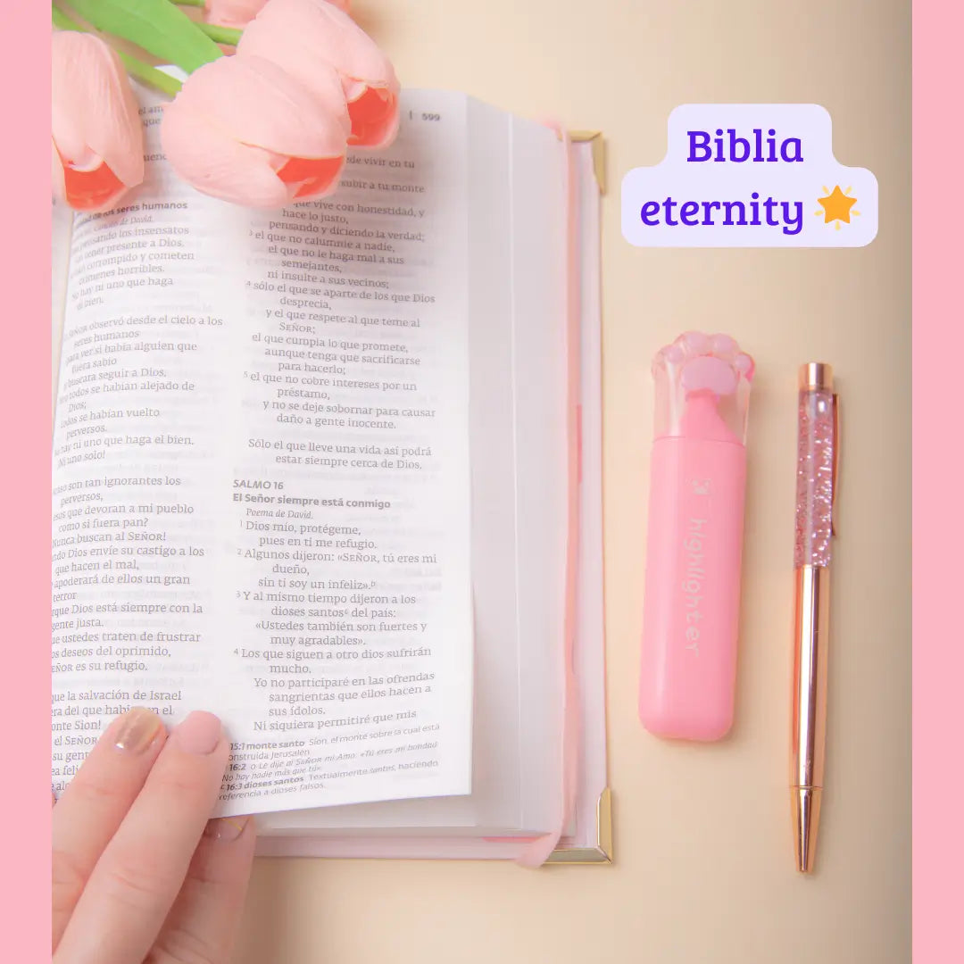 🙏 KIT PARA TU ESPACIO CON DIOS 💗 BIBLIA ETERNITY PASTA DURA 📕🙏 30% OFF