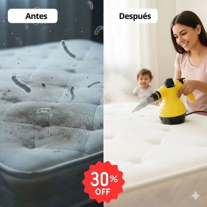 LIMPIADOR A VAPOR ✨